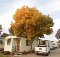 Wodonga Caravan  Cabin Park - Sydney 4u
