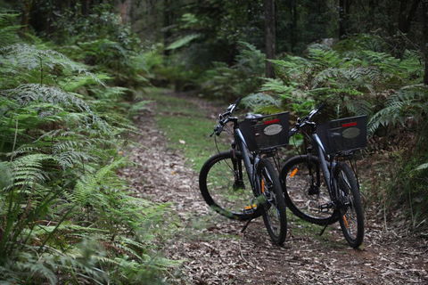 Woodlands Rainforest Retreat - Sydney 4u 2