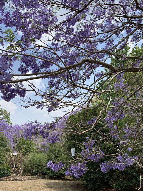 Wyndover Mountain Retreat - Sydney 4u 1