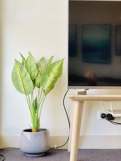 ZEN Homes On Collins - Accommodation Sydney 3