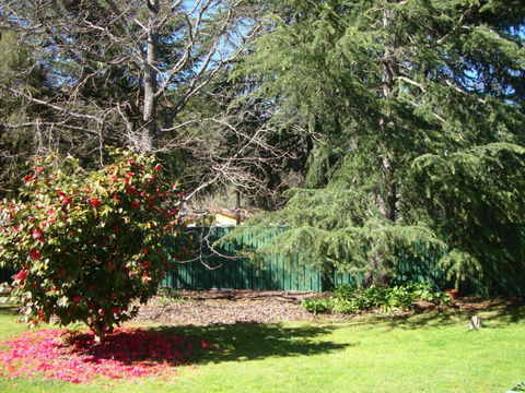 Ageri Holiday House - Accommodation Sydney 3