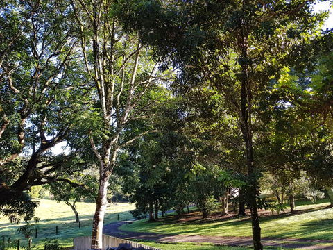 Bee-Haven Cottage - Sydney 4u 7