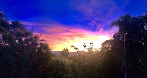 Daintree Manor B&B - Sydney 4u 3