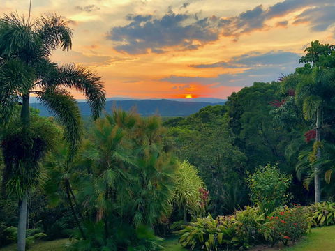 Daintree Manor B&B - Sydney 4u 13