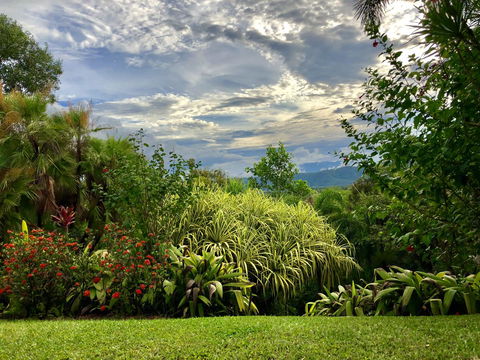 Daintree Manor B&B - Sydney 4u 2