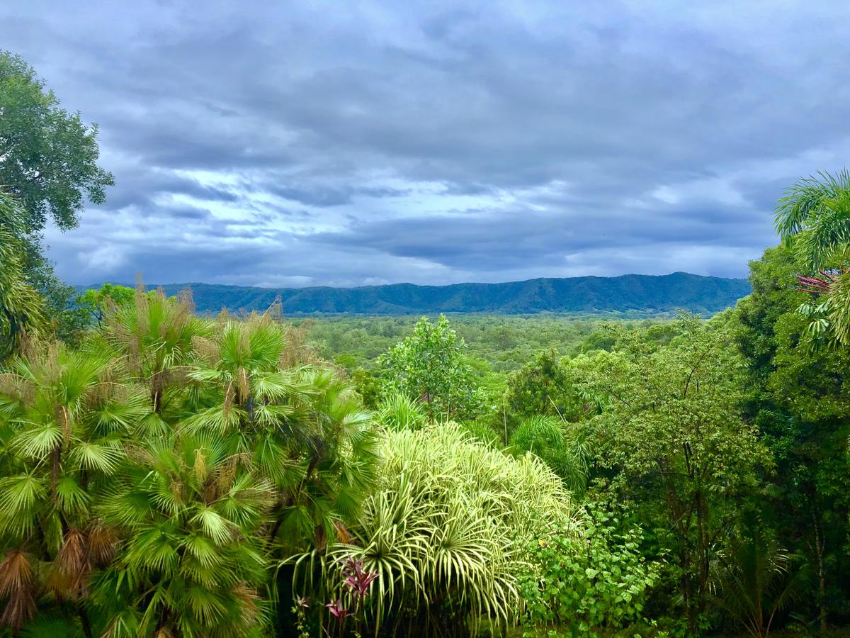 Forest Creek QLD Sydney 4u