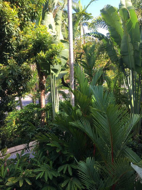 Port Douglas Apartments - Adults Only Oasis - Accommodation Sydney 1