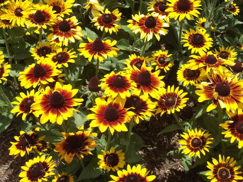 Eastgate On The Range Motel - Sydney Resort 16