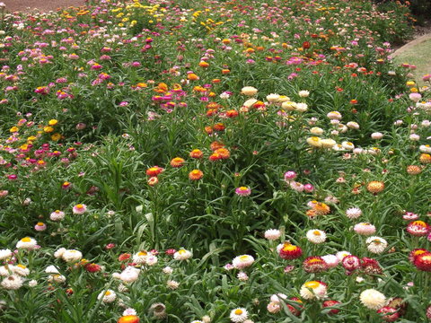 Eastgate On The Range Motel - Sydney Resort 37