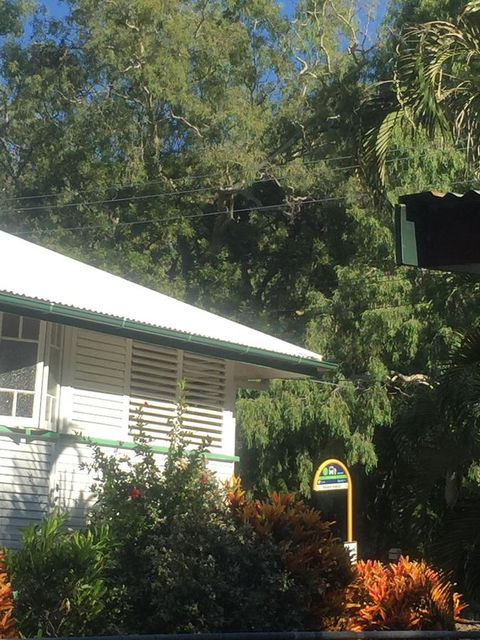 Daggoombah Holiday Home Magnetic Island - Sydney 4u 15