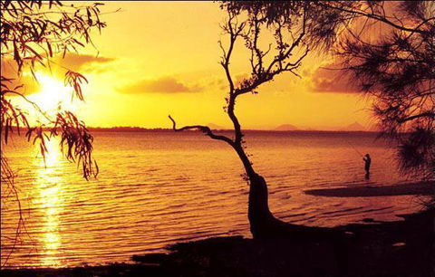 Waterfront At White Patch - Sydney 4u 23