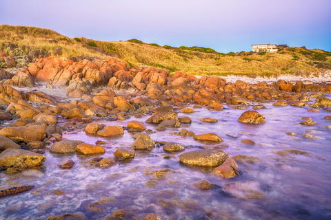 Porky Beach Retreat - King Island Escapes - Sydney 4u 9