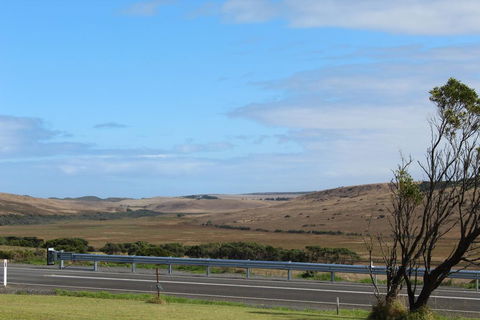 12 Apostles Cottages - Sydney 4u 3