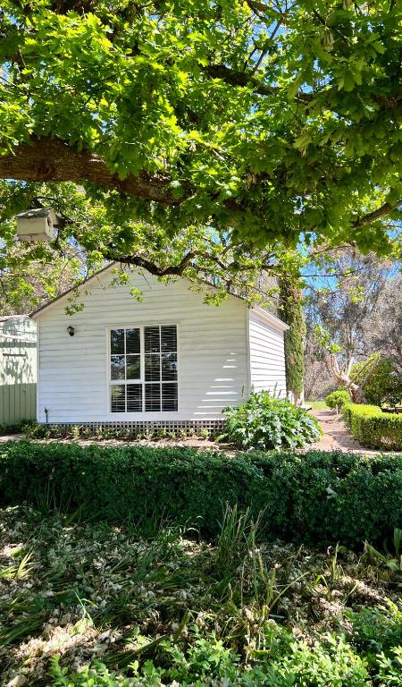Birchwood Cottage - Accommodation Sydney 4