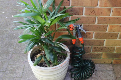 3 MELALEUCA - Sydney Resort 2