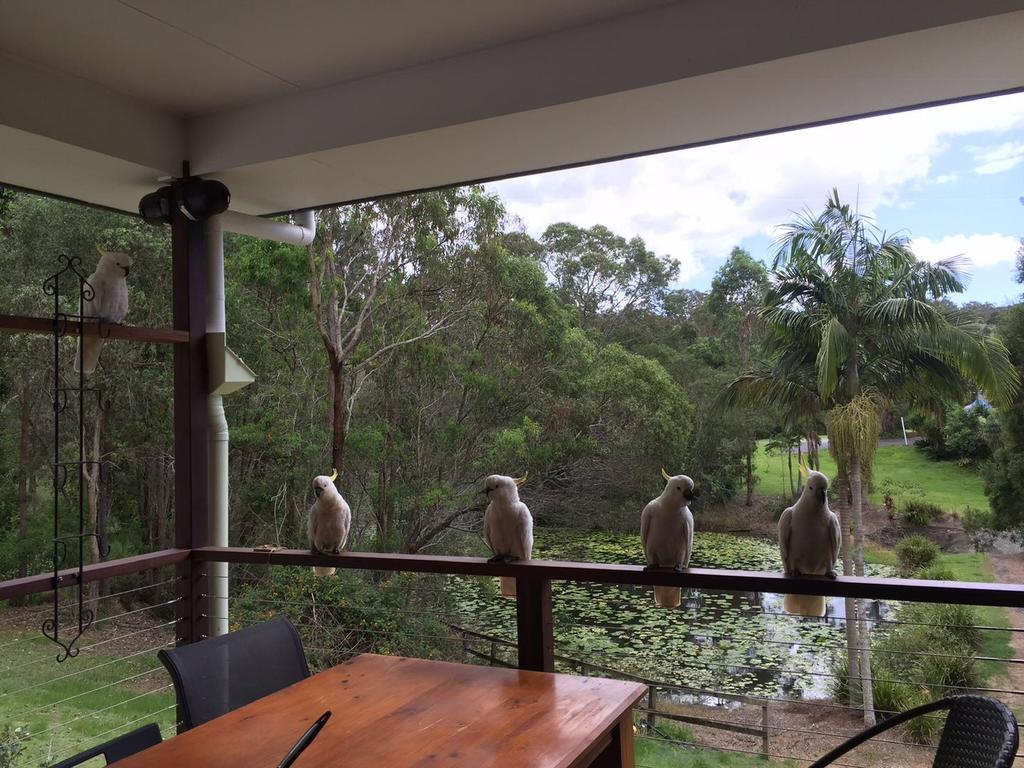Upper Coomera QLD Sydney 4u