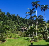 A Daintree Garden - Sydney Resort