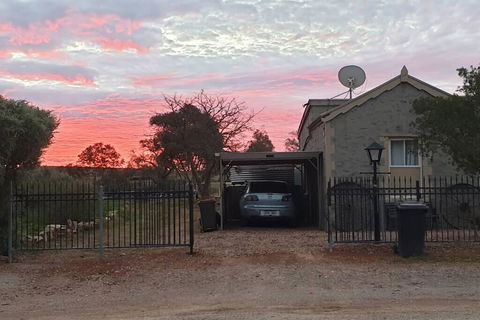 A Real Bush Retreat. Kangas, Emus & Starry Skies. - Sydney 4u 1