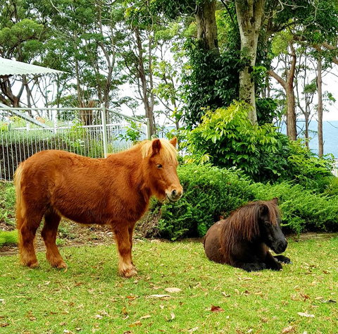 Aaronlee Retreat - Accommodation Sydney 1