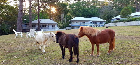 Aaronlee Retreat - Accommodation Sydney 2