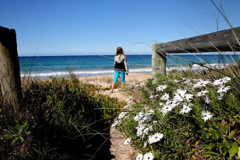 Absolute Beachfront Mollymook - Sydney Resort 3