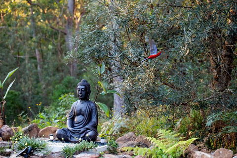 Dorrigo Bush Pepper Retreat - Sydney 4u 4