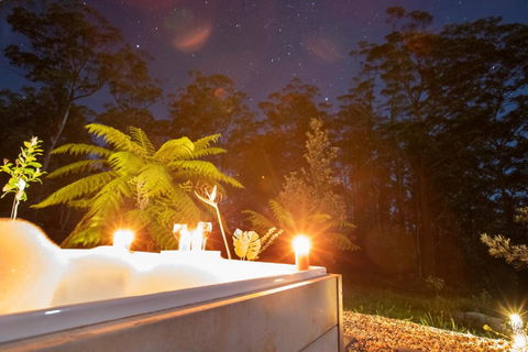 Dorrigo Bush Pepper Retreat - Sydney 4u 2