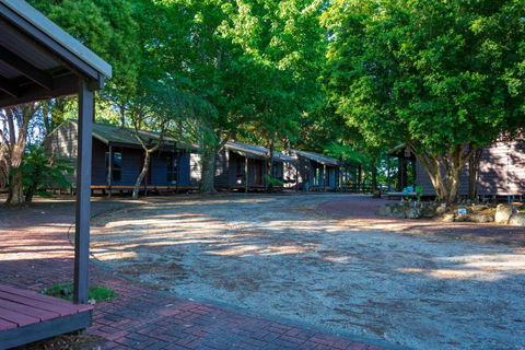 Dorrigo Mountain Holiday Park - Sydney 4u 2