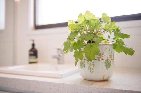 Easy Elva - Accommodation Sydney 4