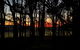 Eversprings Glamping - thumb 4
