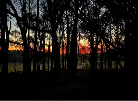 Eversprings Glamping - Sydney 4u 4