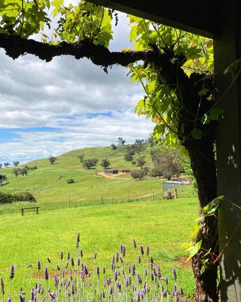 Elevation652 At Mt Bellevue In King Valley - Accommodation Sydney 2