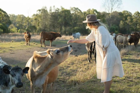 Golden Hill Farmstay By Tiny Away - Accommodation Sydney 4