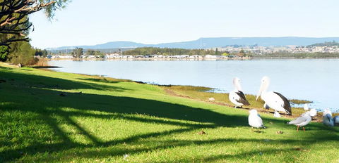Golf Place Inn Wollongong - Sydney 4u 3