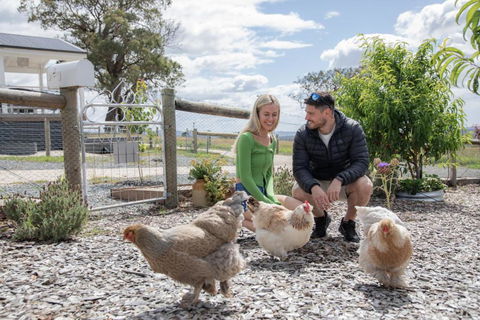 Gumnut Cottage Gippsland - Tiny Romantic Escape W King Bed Mountain Views - Sydney 4u 3