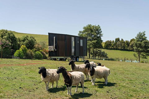 Hillside Hideout By Tiny Away - Sydney 4u 2