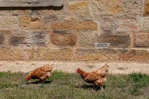 Historic Sandstone Ross Farmhouse - Sydney 4u 2