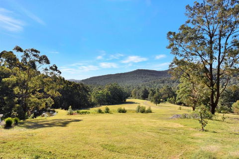 Hunter Valley Kangaroo Retreat With 60 Kangaroos - Sydney 4u 1