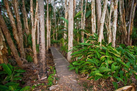 Agnes Palms Accommodation - Sydney 4u 0