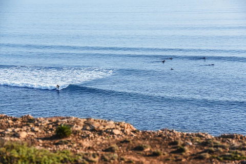 Aldinga Beach Experience - Accommodation Sydney 3
