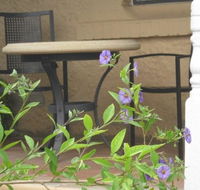 Amalie Cottage Waikerie - Sydney 4u