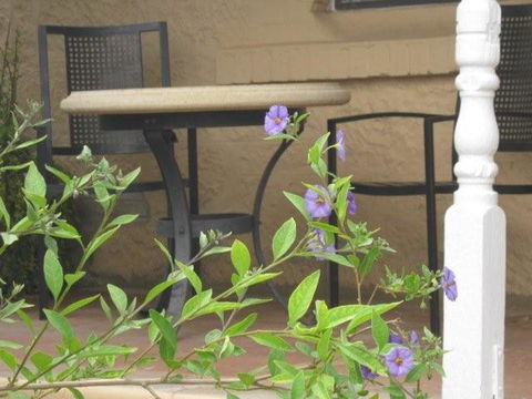 Amalie Cottage Waikerie - Sydney 4u 0