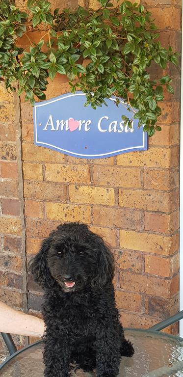Amore Casa Tenterfield - Accommodation Sydney 2