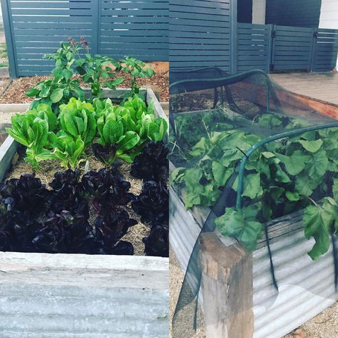 AMs Farm Stay - Accommodation Sydney 3