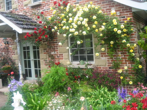 Annie's Cottage - Sydney 4u 3