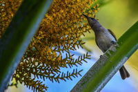 Book Karumba Accommodation Vacations Sydney 4u Sydney 4u