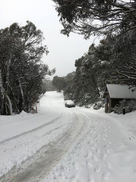 MAGNIFICENT SKIING ON MOUNT BULLER - Sydney 4u 3