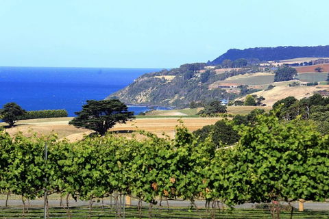 Mallavale Farm, Boat Harbour - Sydney 4u 0