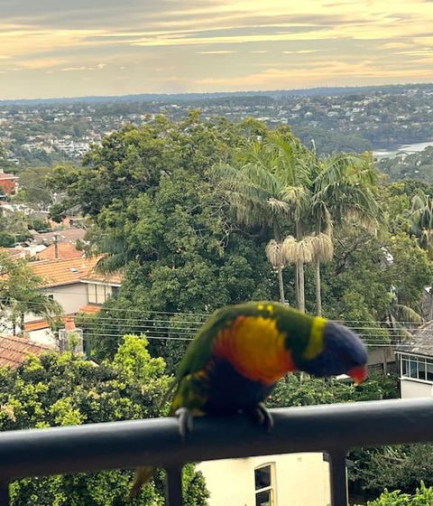 Mosman Views, 2bed, Parking, 15min Walk To Beach - Accommodation Sydney 1