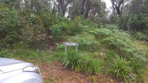 Mountain Tranquility - Accommodation Sydney 3